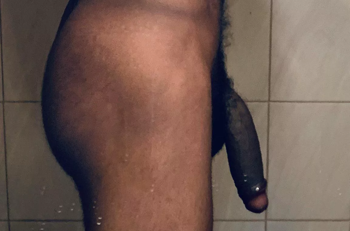 took it out for some air posted by trionyc