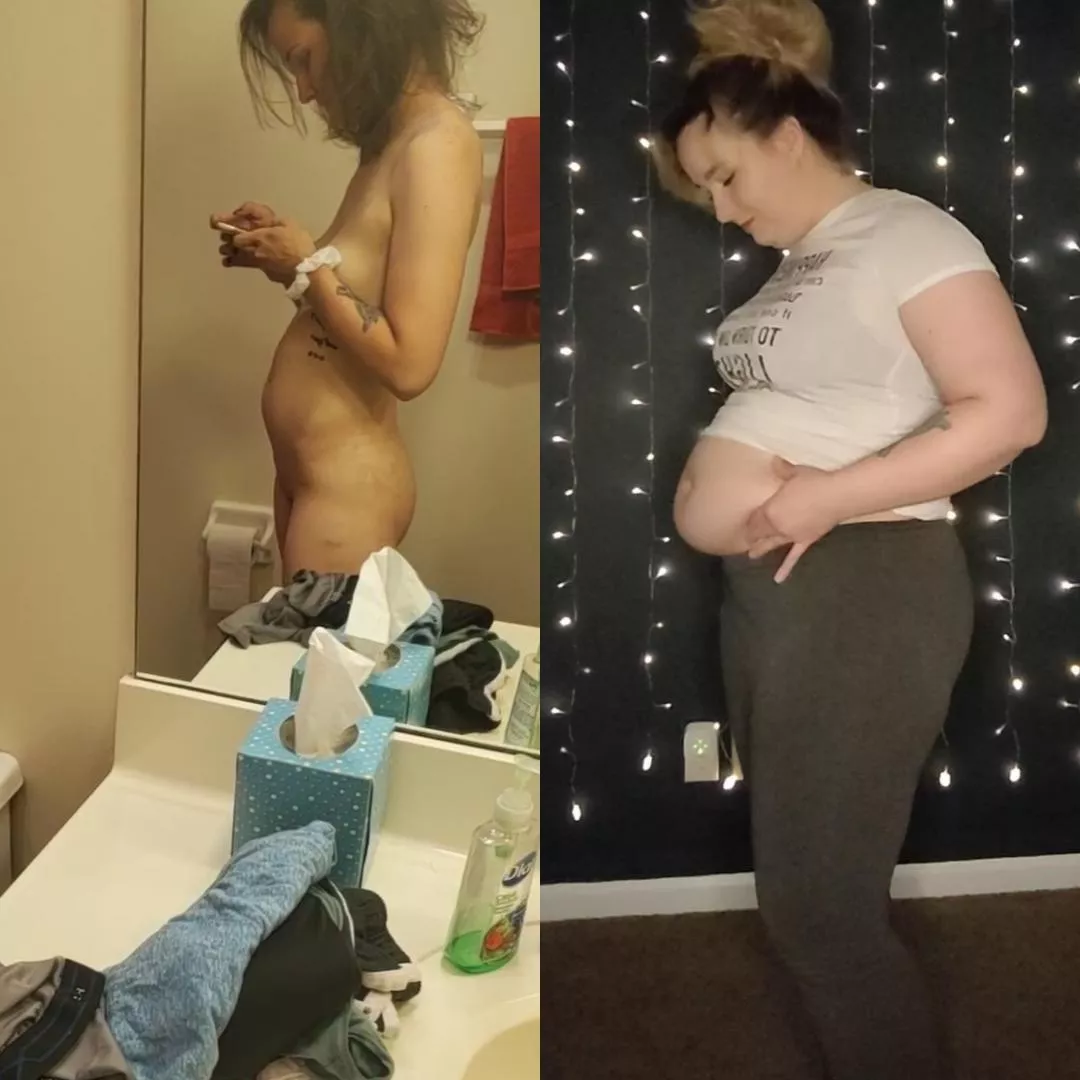 took some measurements tonight! alot can change in a year and a half! 🐷 posted by StuffedSofie