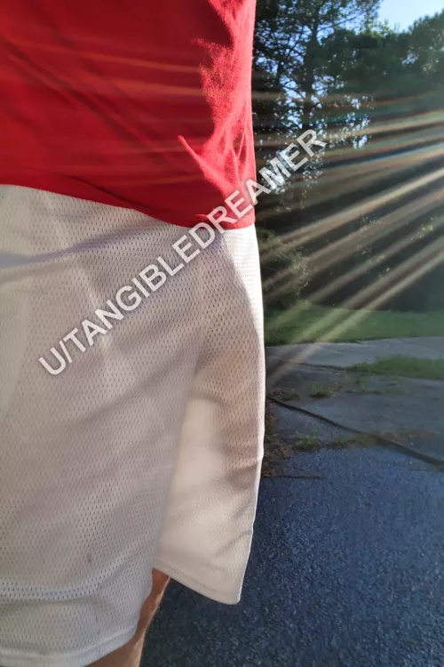 Took the big boy out for a walk today! lol by TangibleDreamer