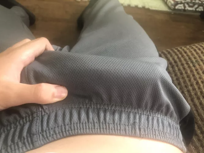 took this by raspyrigged