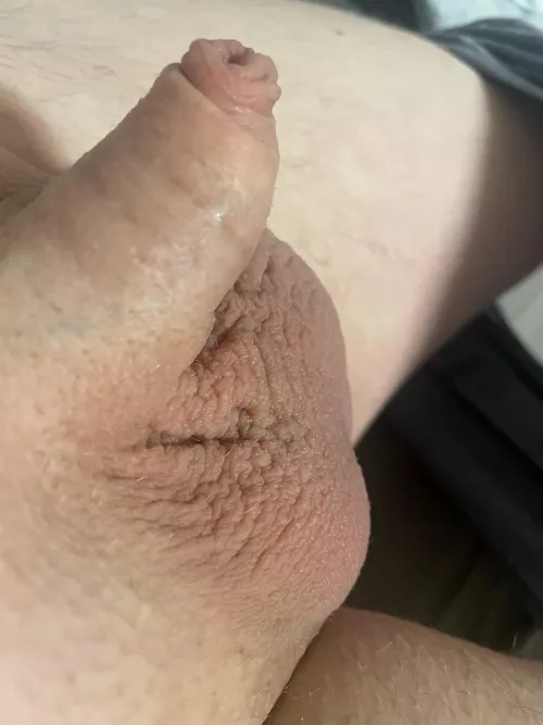 Top of the morning (40) by Friendly-Jacket-1793