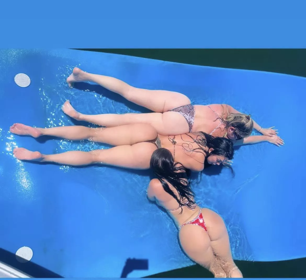 TOP TO BOTTOM posted by Aviator319