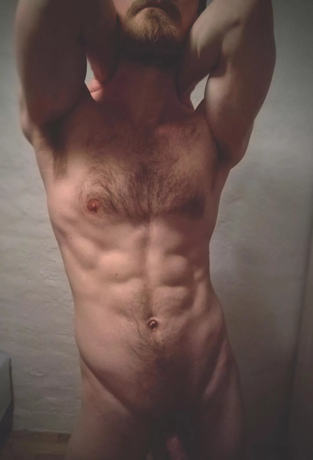 Torso posted by whistlingkitedragon