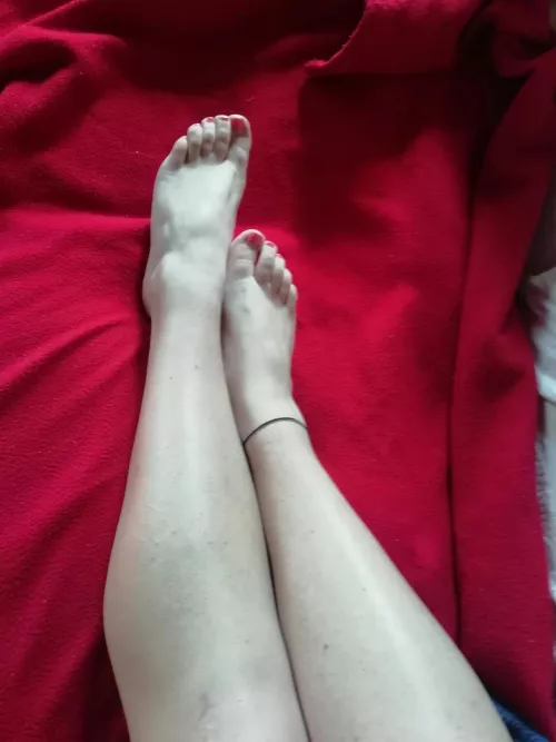 touch my legs and taste my toes by Ambers_littlefeet