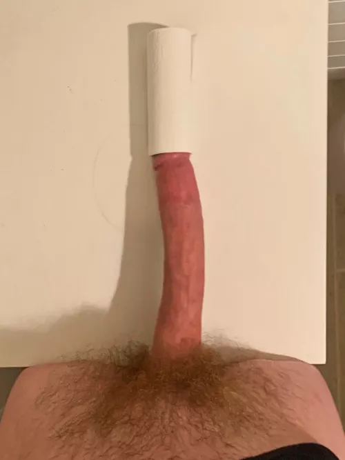 tp roll by hunghayes