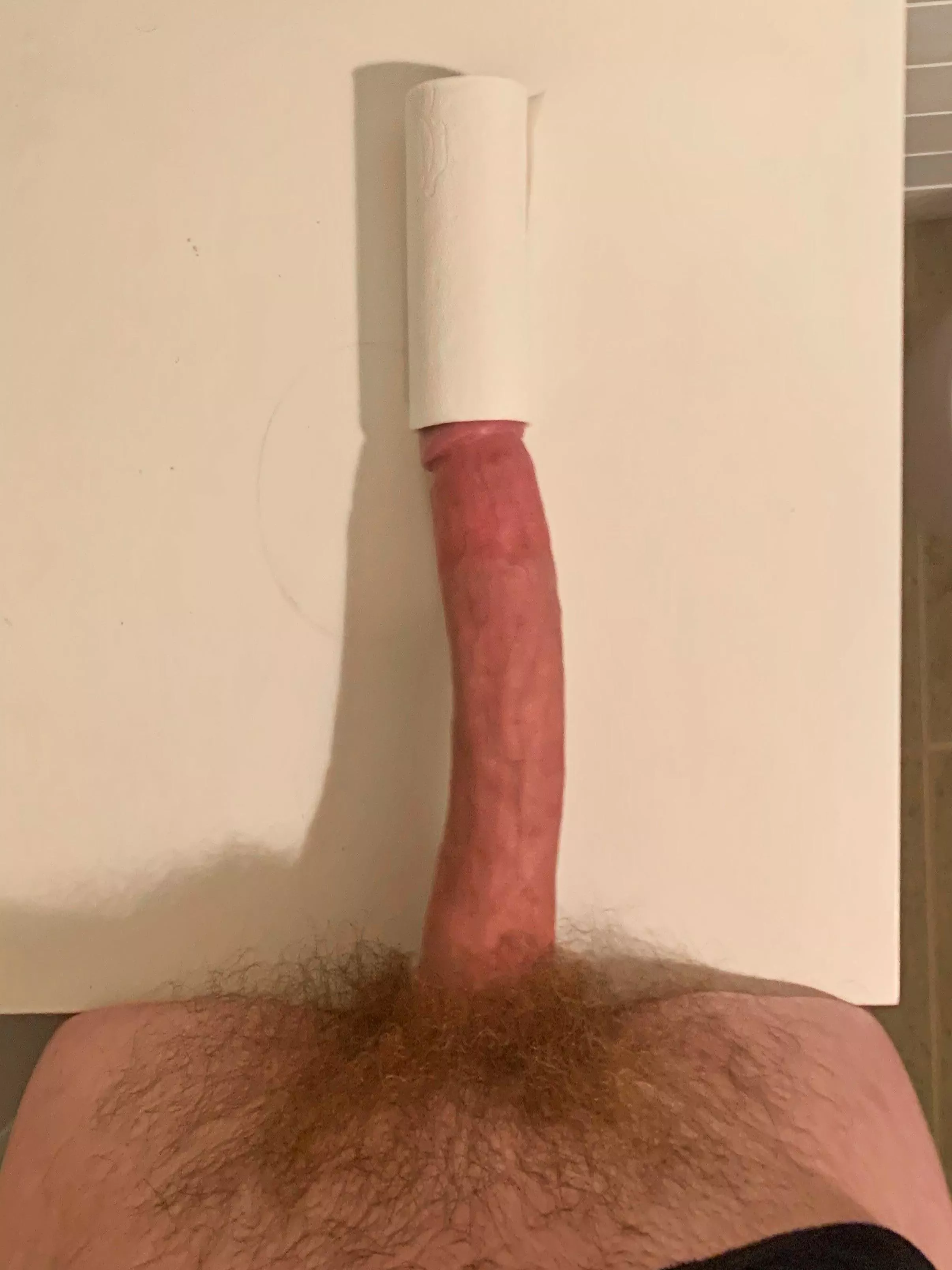 tp roll posted by hunghayes