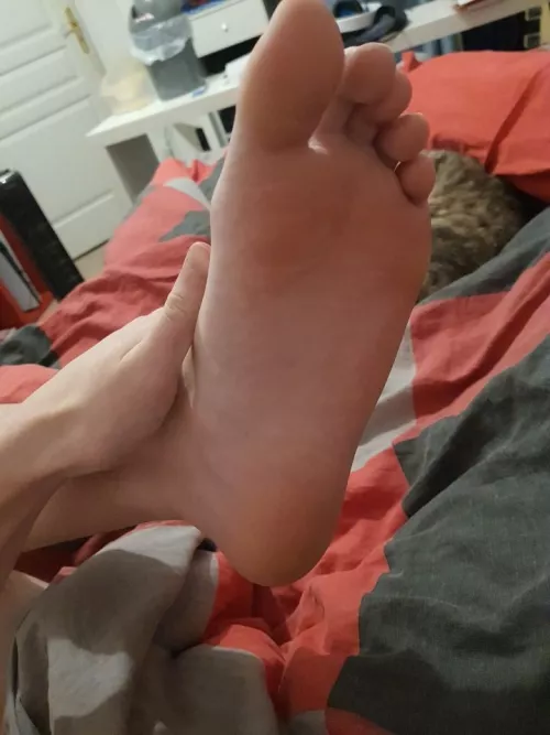 trading feet ? by Forsaken_Ad7912