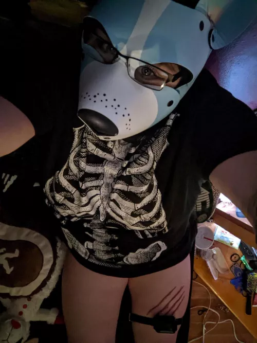 Training shocker is on. 🐾 by SinisterSatyr