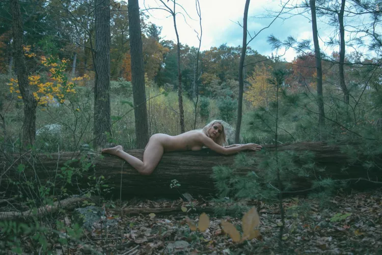 Tree hugging isn’t just for right side up by Taylorcat94