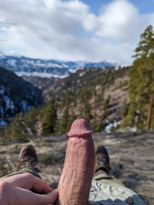 Treeline dick by finalwake