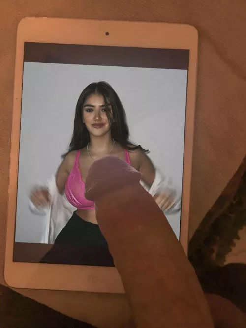 Tribbed. Kik tributerjan by tributerjan