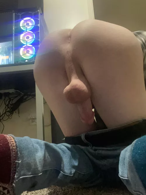 Tribute me? 😖 by Noss__