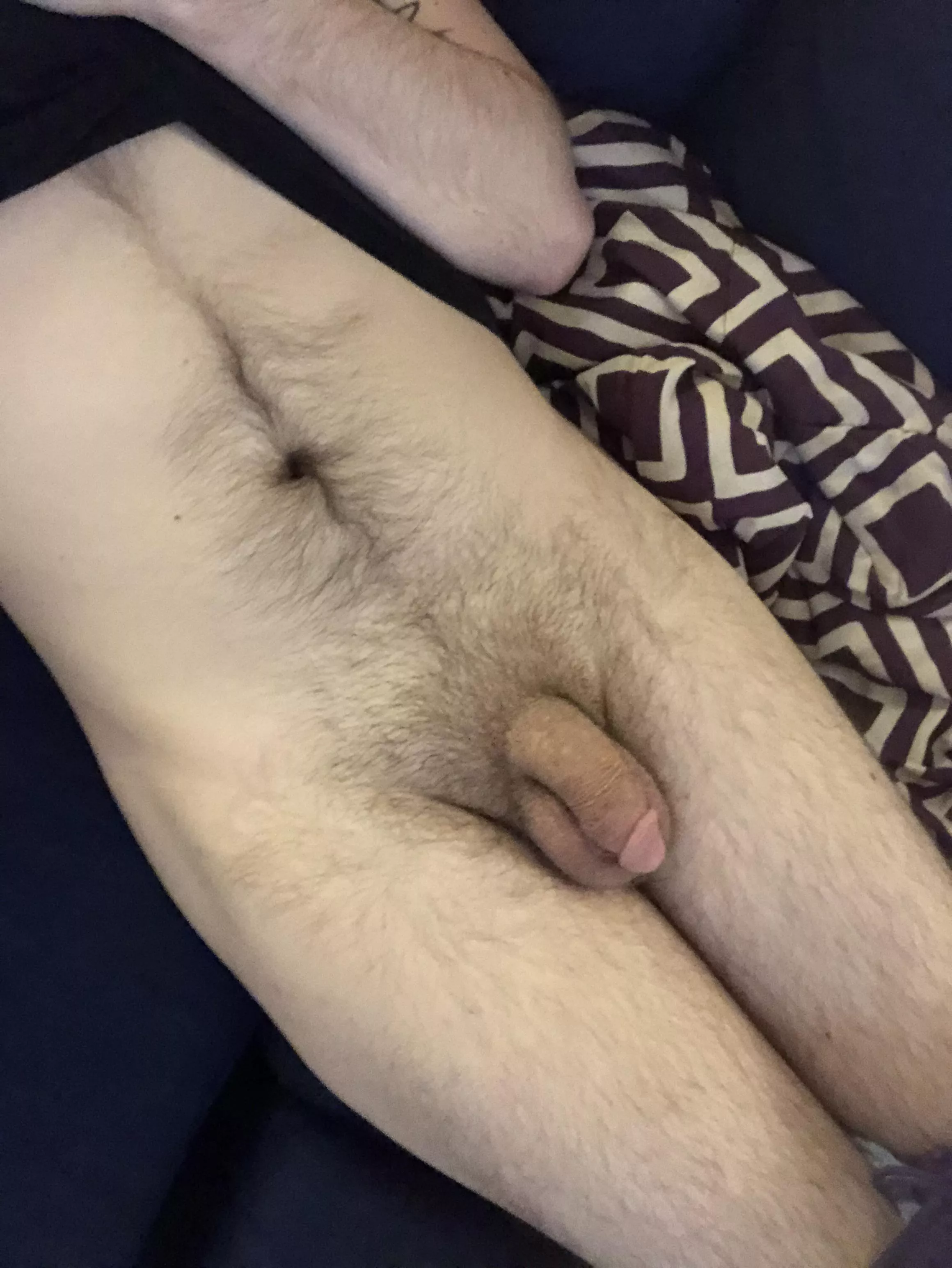 Trimmed my pubes and wanted to show it off posted by PmBoobsOrCompliments
