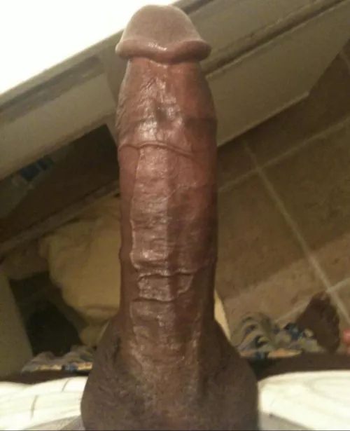 Try me out by Katalyst666