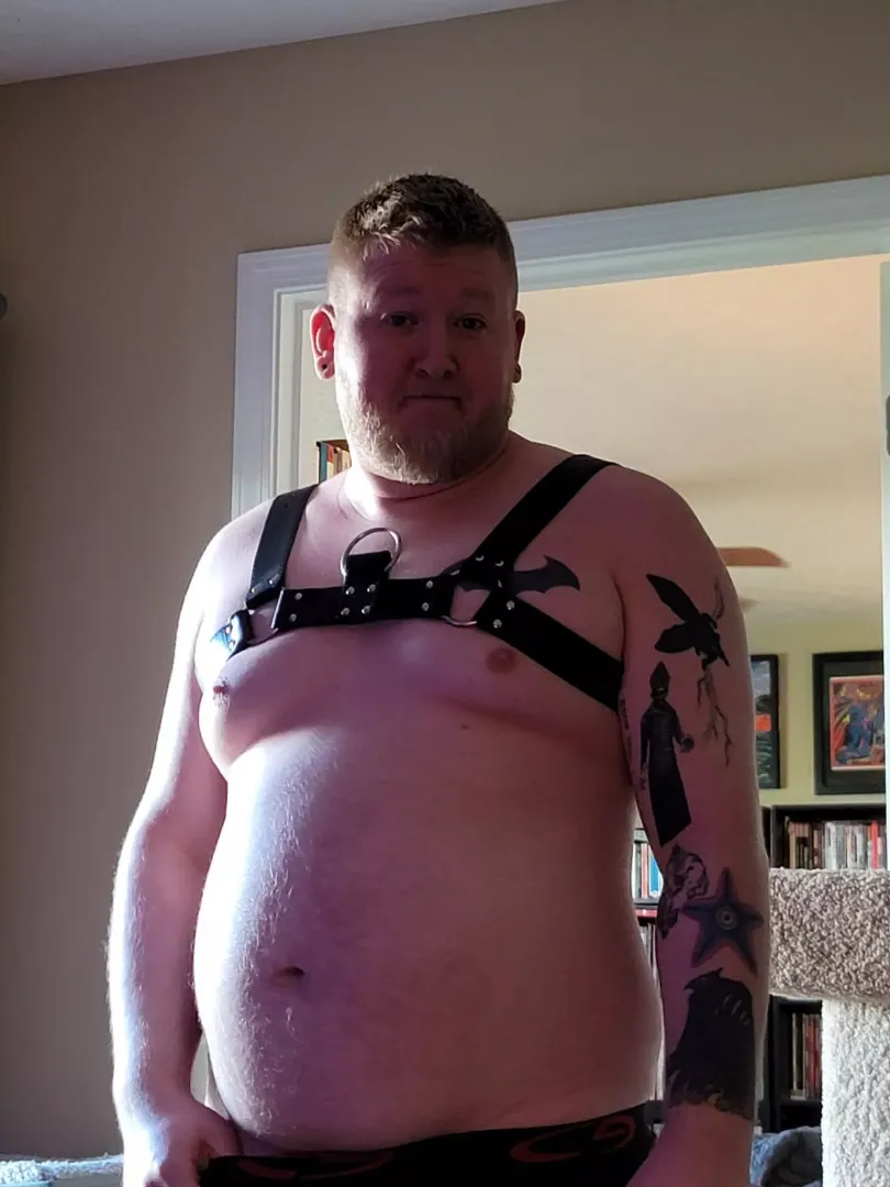 Trying out a harness for the first time posted by iowa_cub