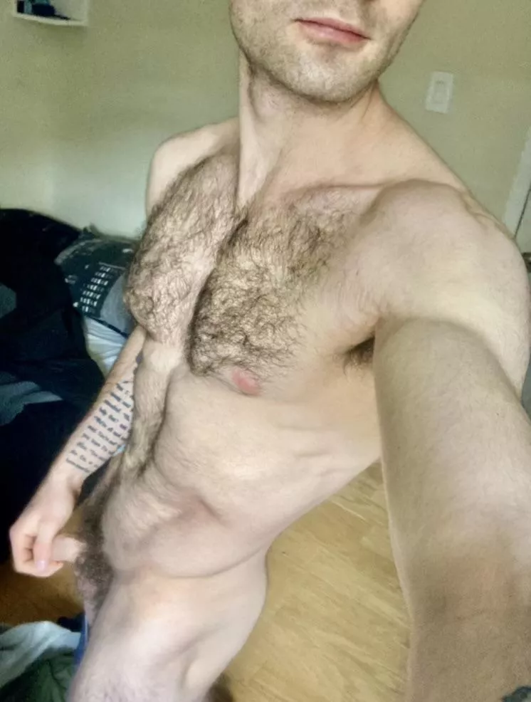 Trying to add an air of sophistication, to my post shower nude posted by J-Harker