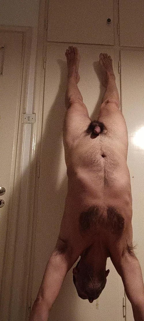 Trying to do it right by salvatore84266900