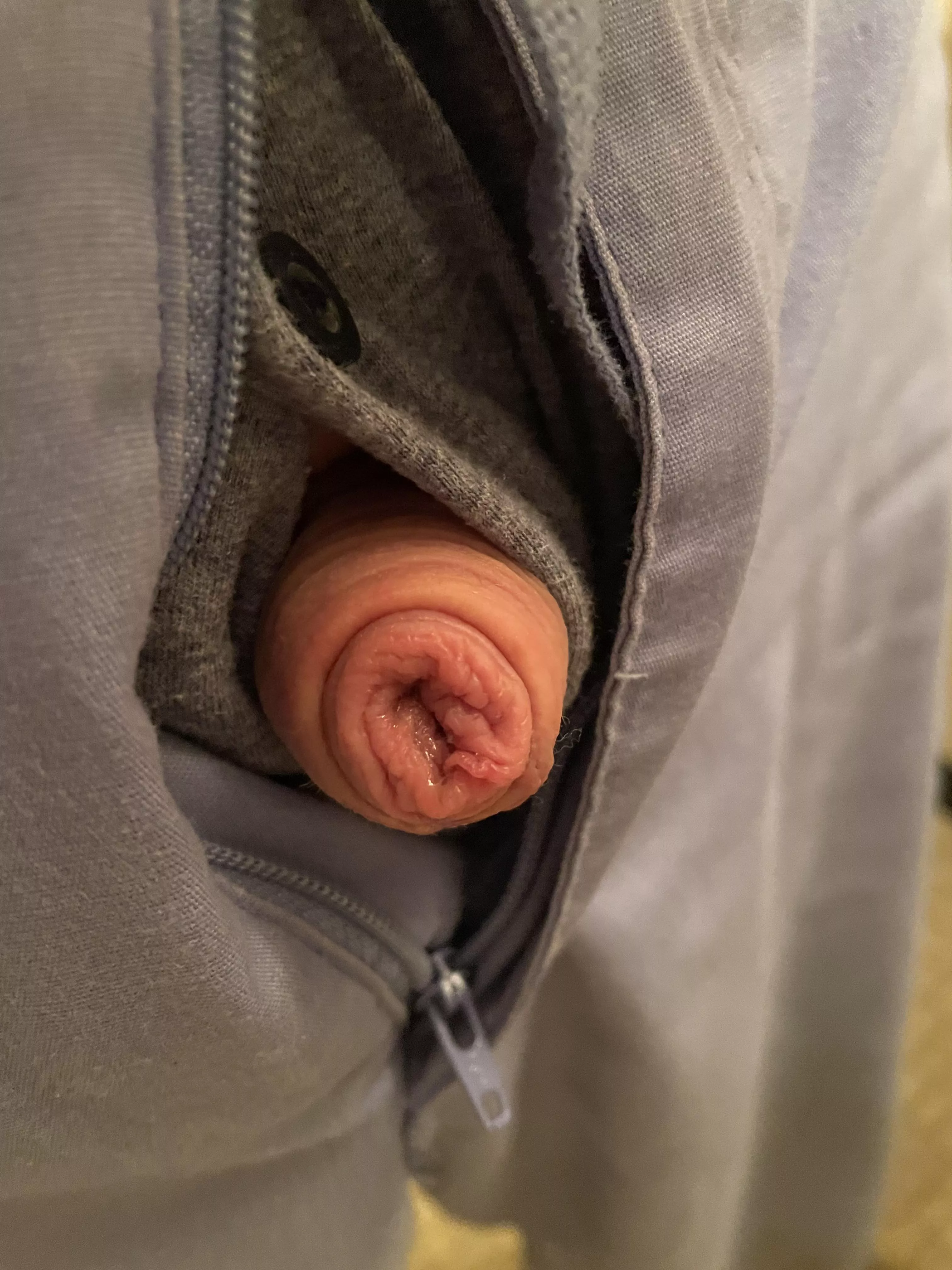 Trying to escape (40) posted by Friendly-Jacket-1793