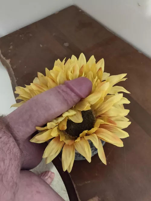 trying to get a little artsy with my dick pics by sbohow