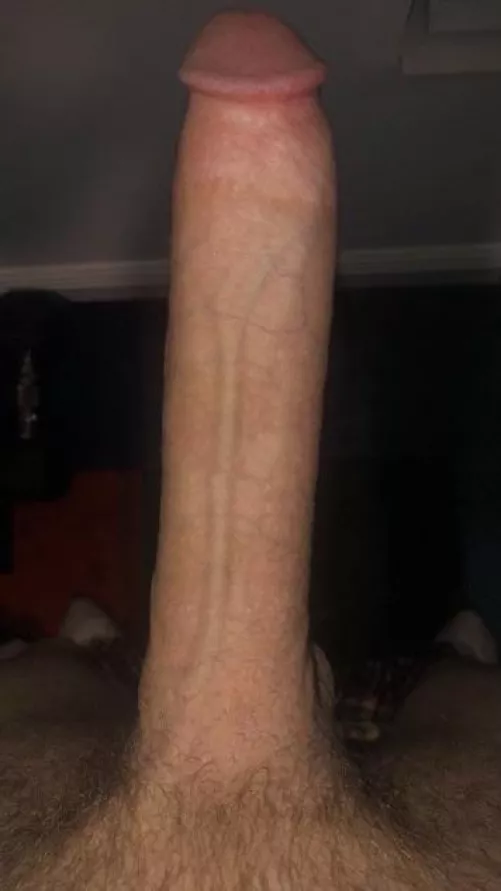 turned 19, who wanna suck my huge monstercock? by Fabii_