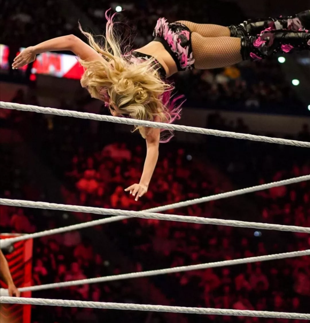 Twisted Bliss is Back posted by toadofadown