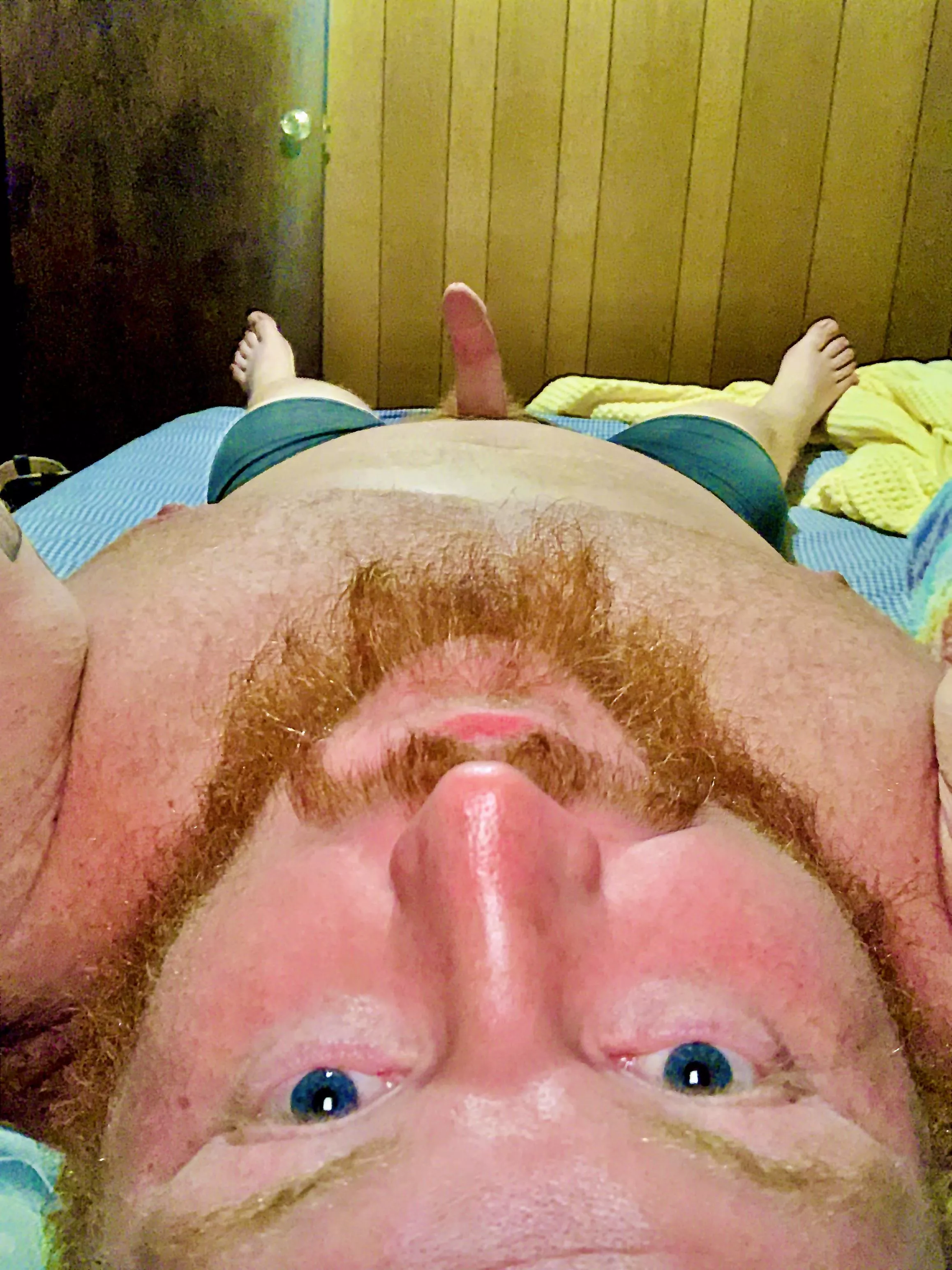 Two best seats in the house posted by beareatsgoldie