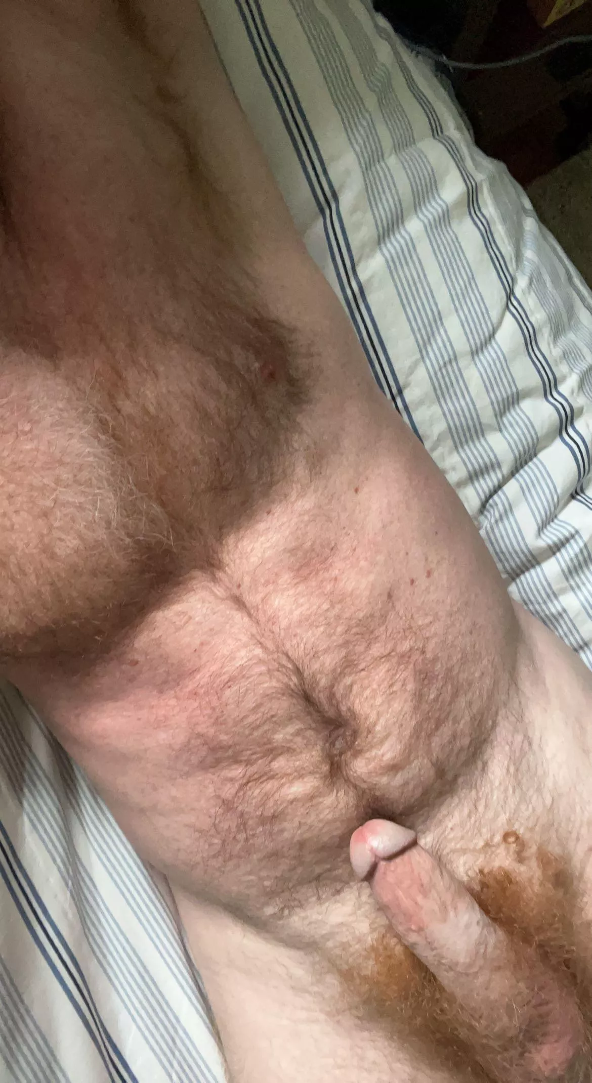 Typical Tuesday (44) posted by SomeOtterGuy4