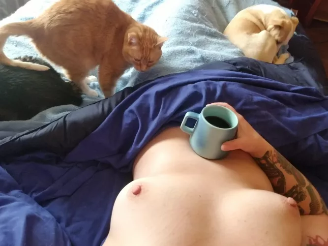 Ugh, up too early when I get to sleep in. At least I can snuggle with my pets. by CatDog21334