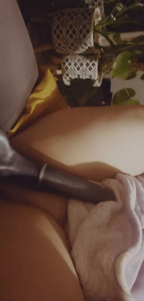 u/Masked_Tokki_Vixen Horsey doing the censor 🥺 by MacrowSoft