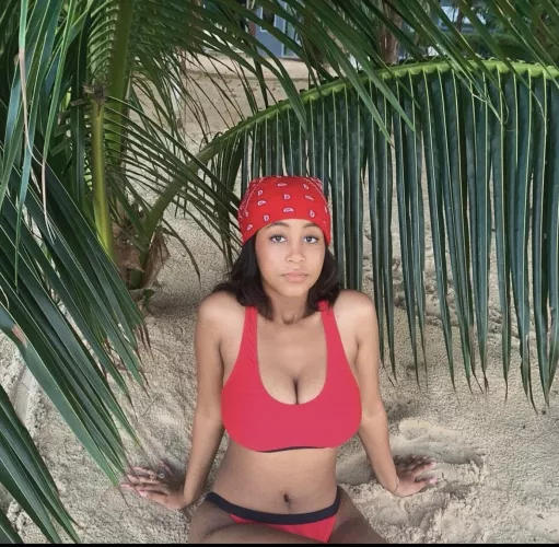 Under the palm by Winallthetimelol