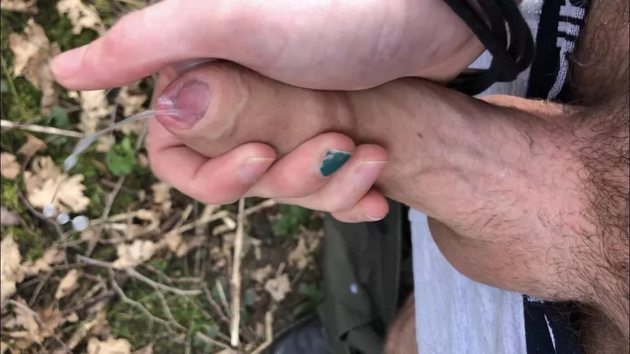 Unloading in the woods by RedInclusions