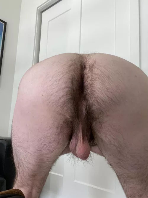 Untitled 4 by JakeTheT