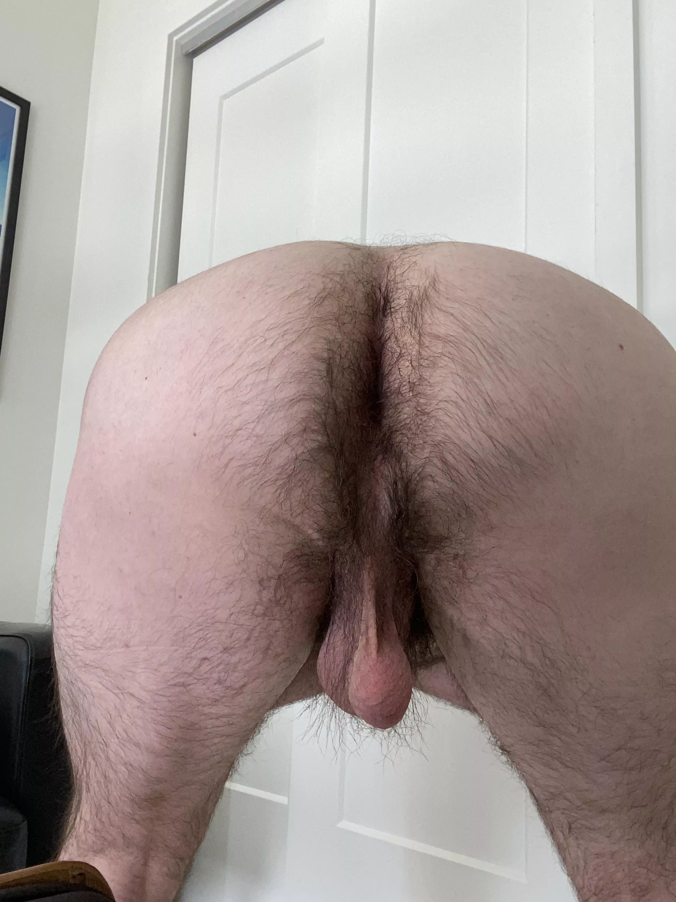 Untitled 4 posted by JakeTheT