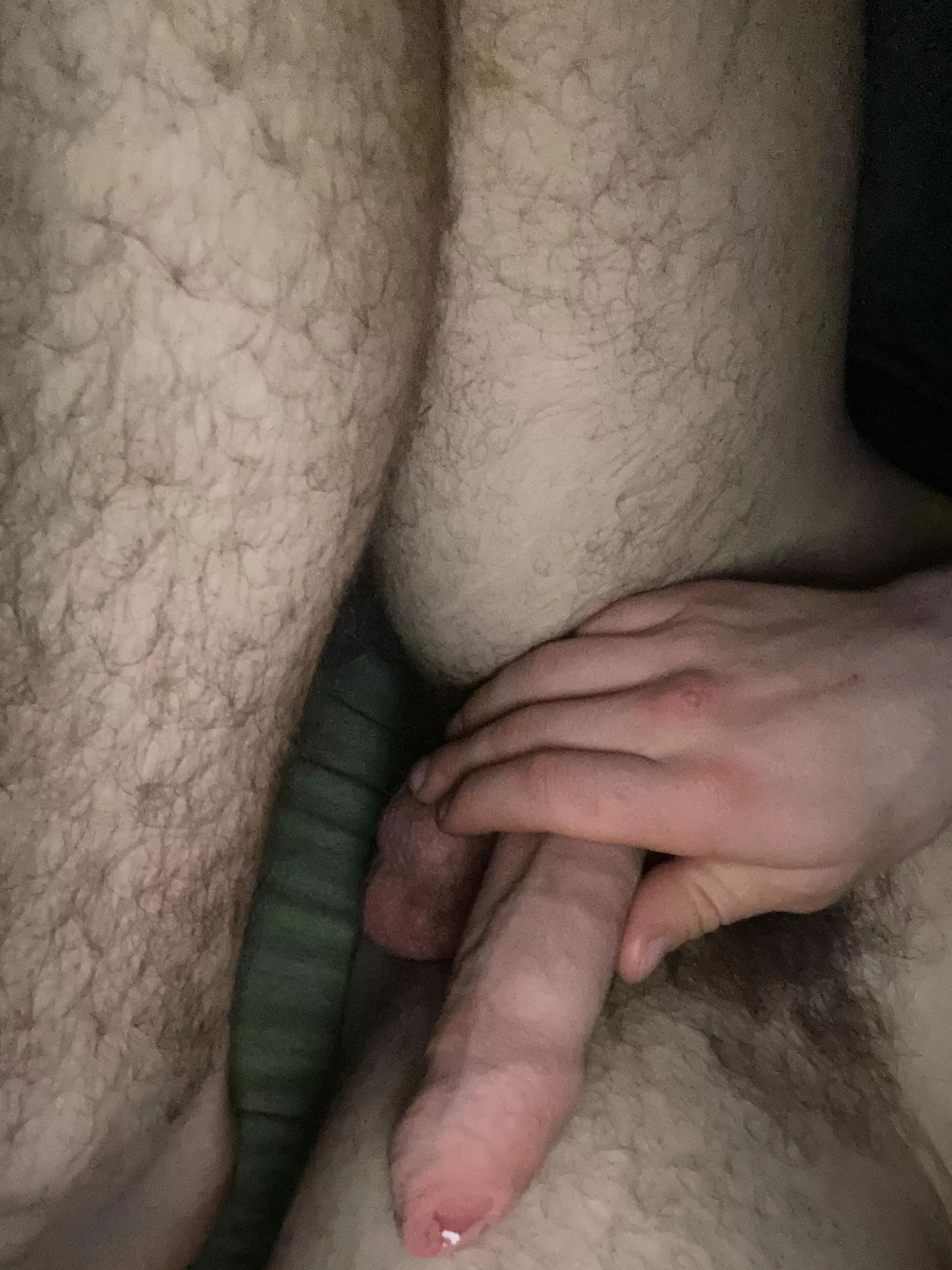 Untrimmed with foreskin full of precum posted by Evenfealds