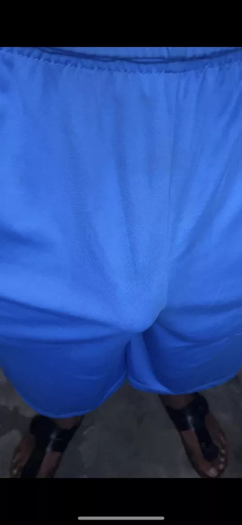 Up with the birds by sneuxfawx