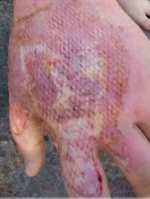 *UPDATE* Forbidden Bubbles by Rxckless92