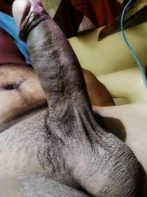 upvote if you'd praise this 🍫🍆, dm me on kik - baddd69 by 9inhorserod