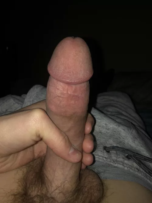 upvote if you’d suck me off by OrbIsMyName