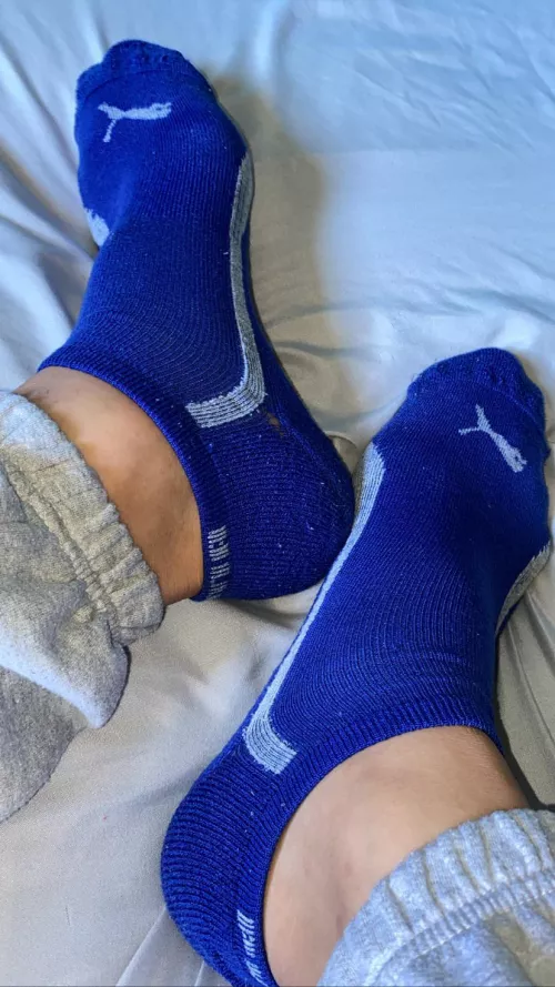 used pumas / azul by jespatas