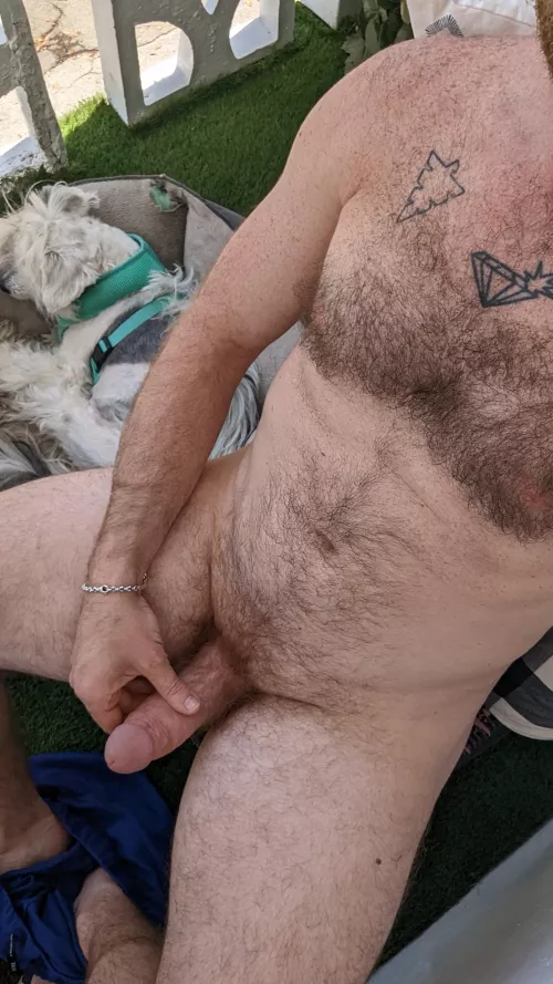 Vacation balcony fun by broshugpornbros