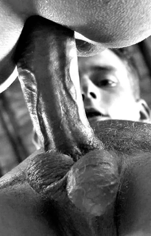 “Veiny entry” … by neilfromsydney2003