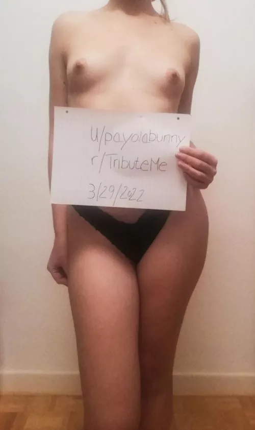 [verification] by PayolaBunny