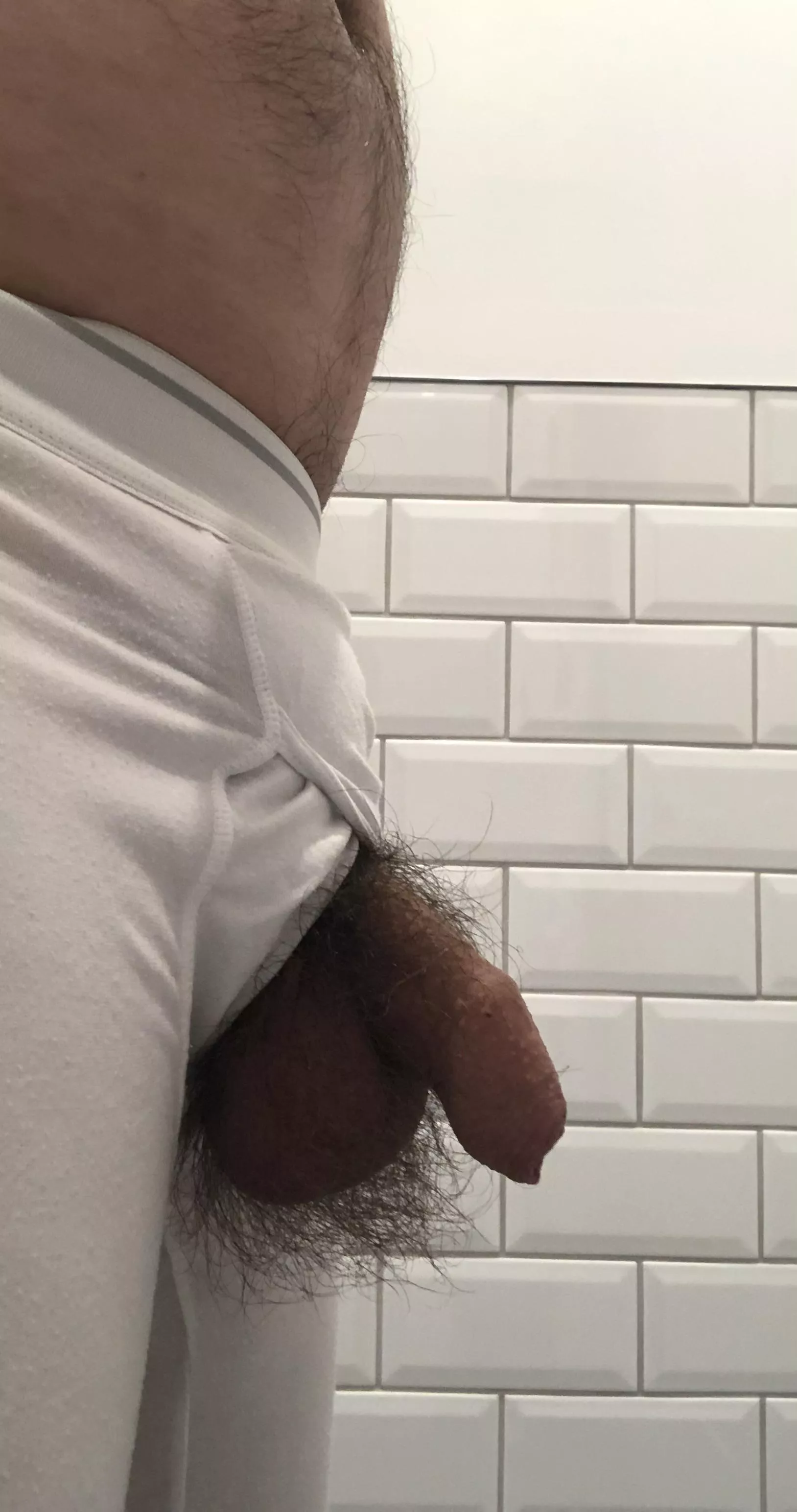 Very furry posted by com_b_filter