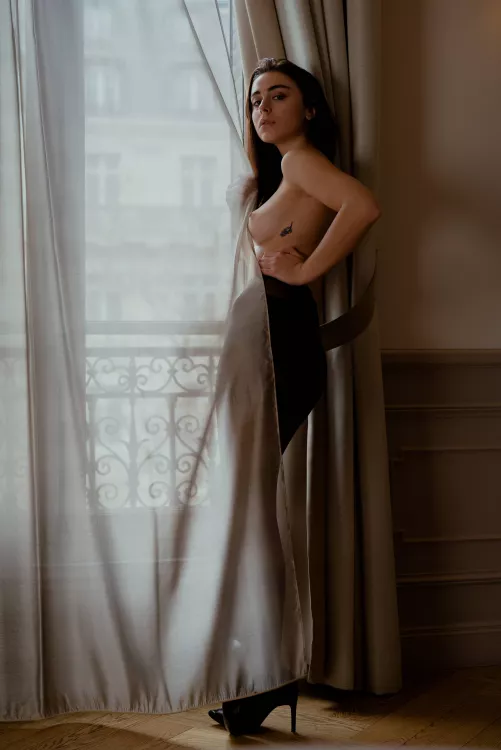 Vyolet Androsacce by KevinArnaud