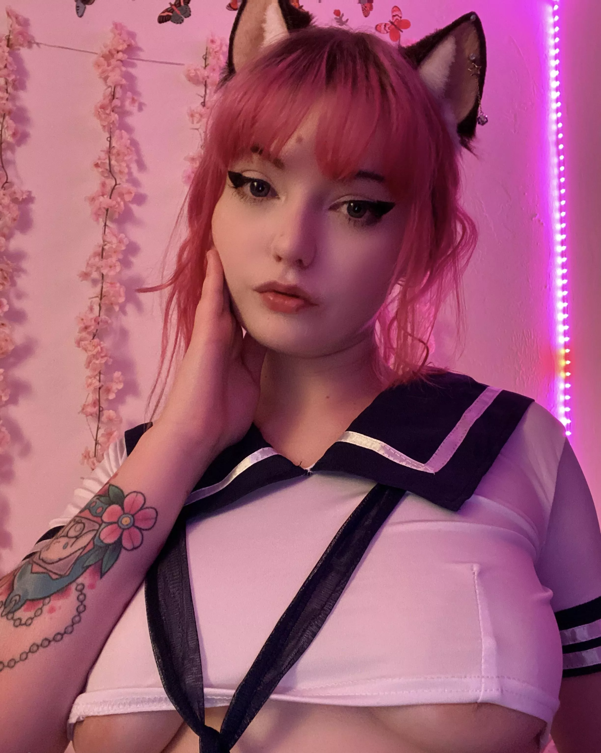 Waiting for master to give me headpats posted by pocketsizedpup