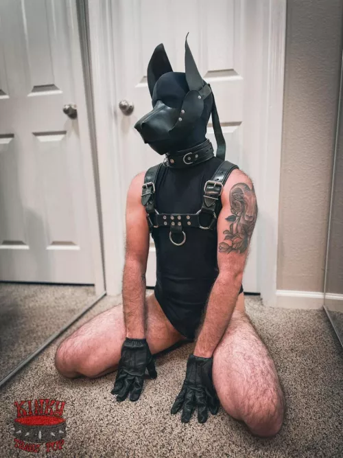 Waiting for training (finished my hood!) by kinkytranspup