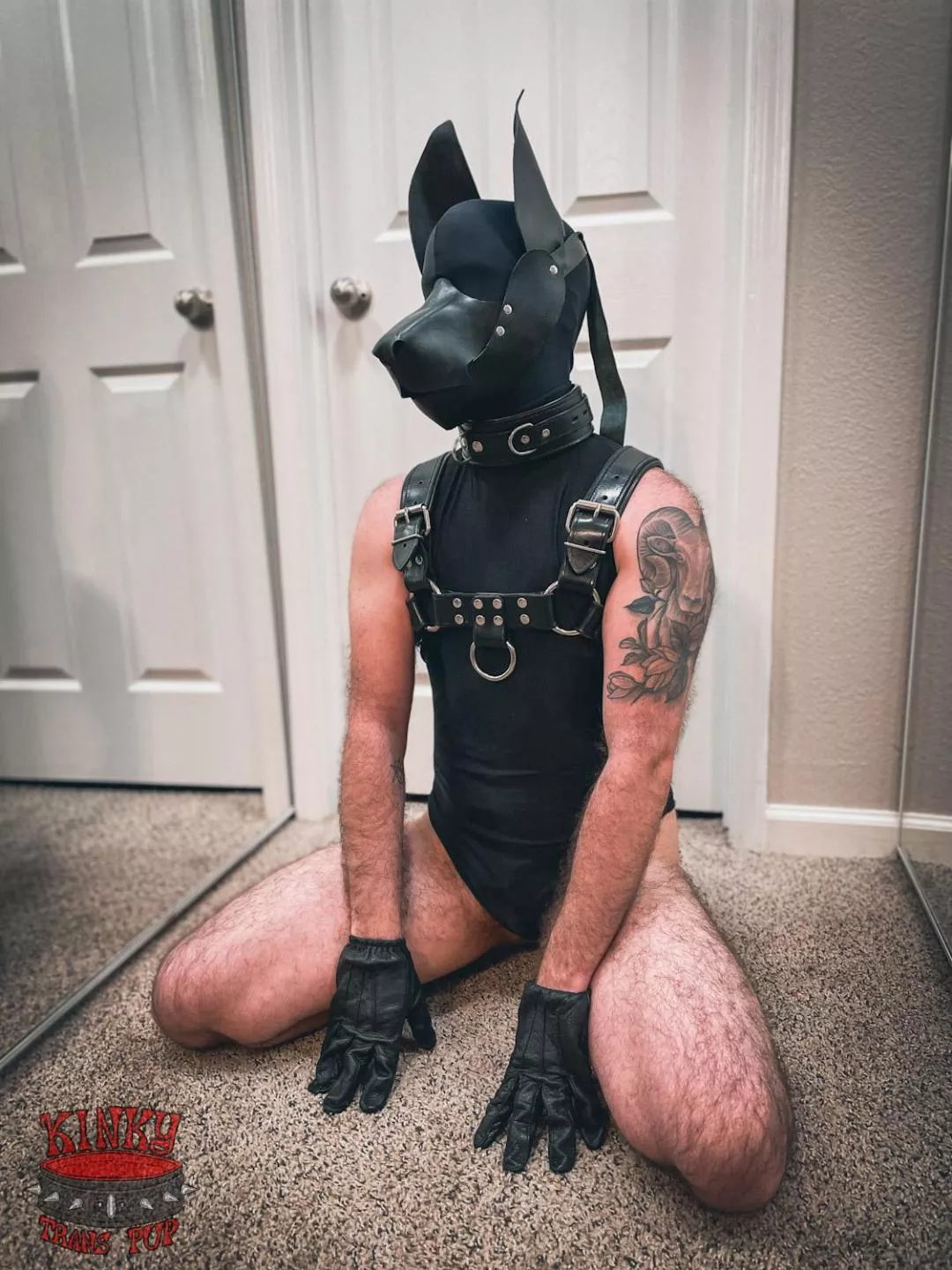 Waiting for training (finished my hood!) posted by kinkytranspup