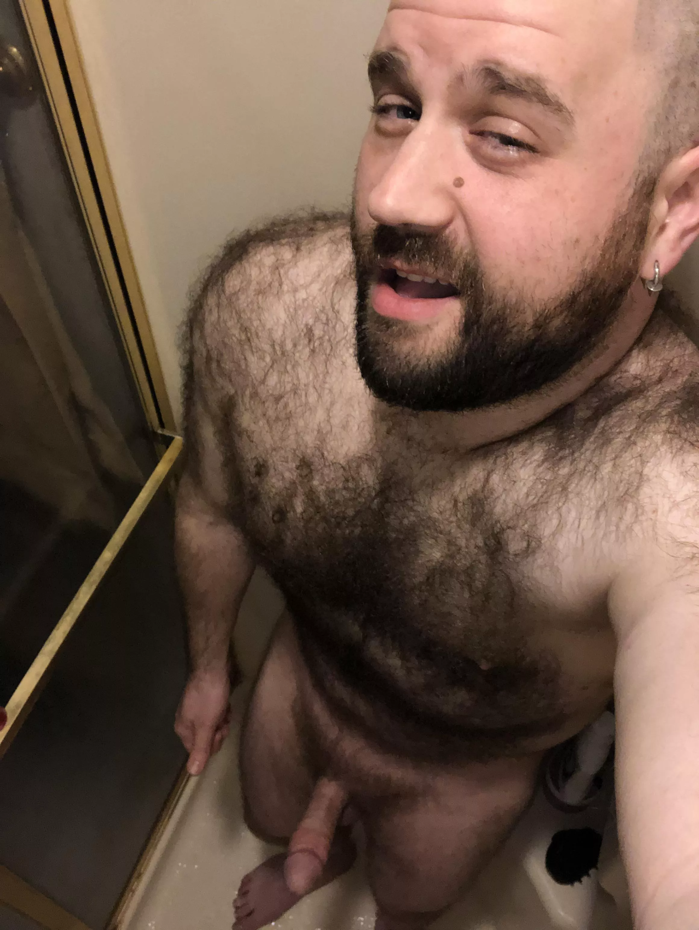 Wake me up??? posted by stipulategenoa