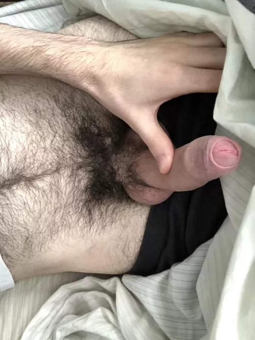 Wake up to this?? by loseoink