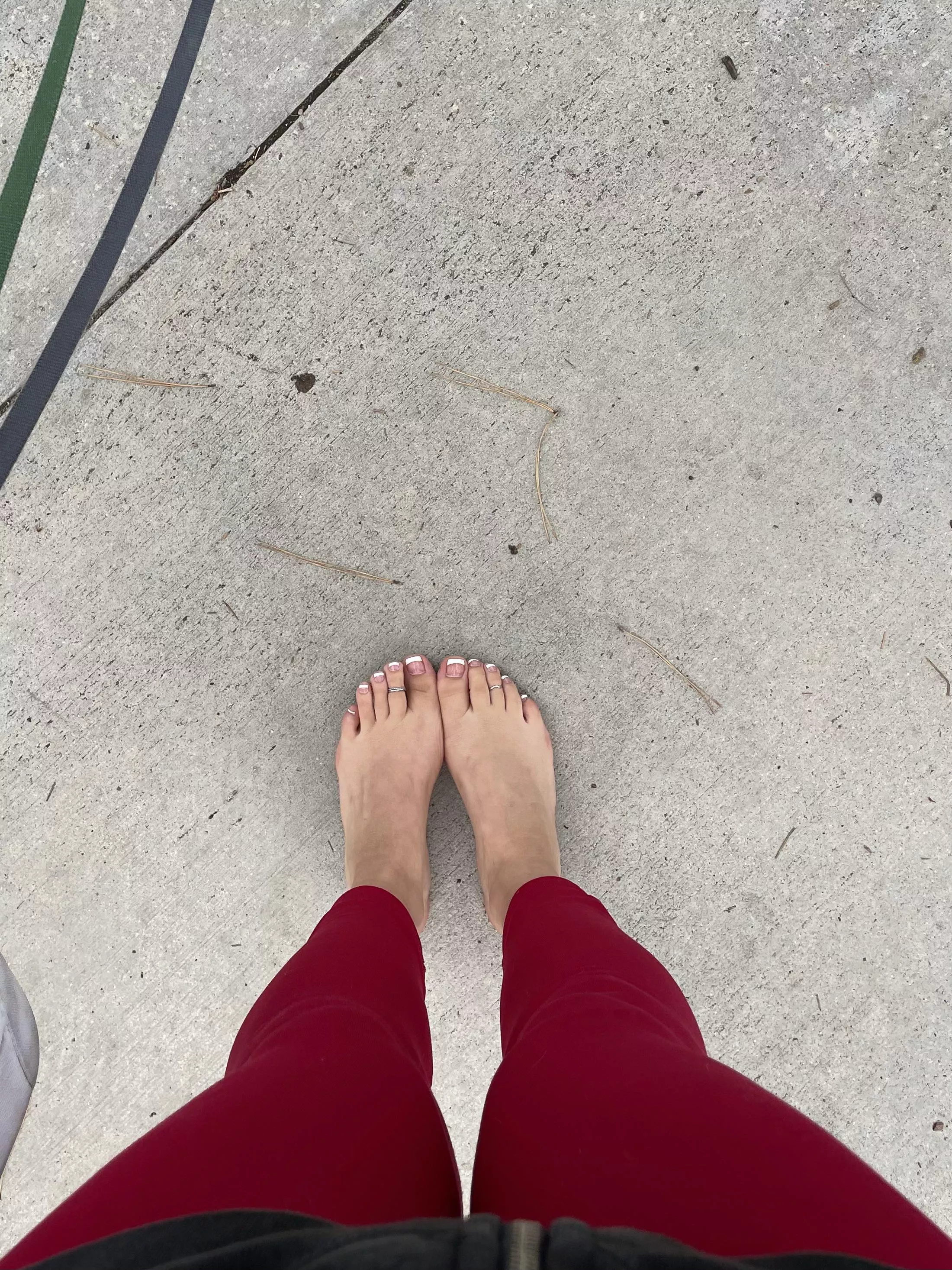 Walking the dogs barefoot today! if you saw me would you cum say hi? :) posted by lnclination
